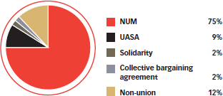 South Africa: Union representation breakdown