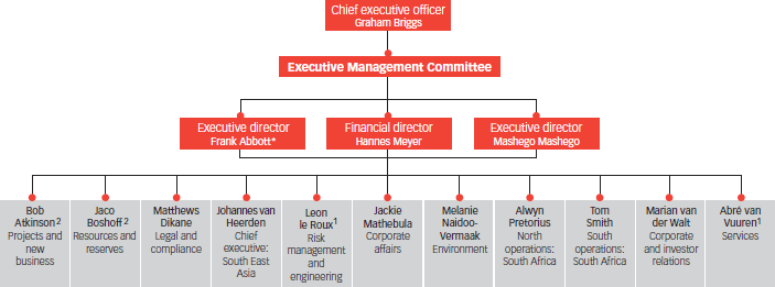 Executive Management Committee structure